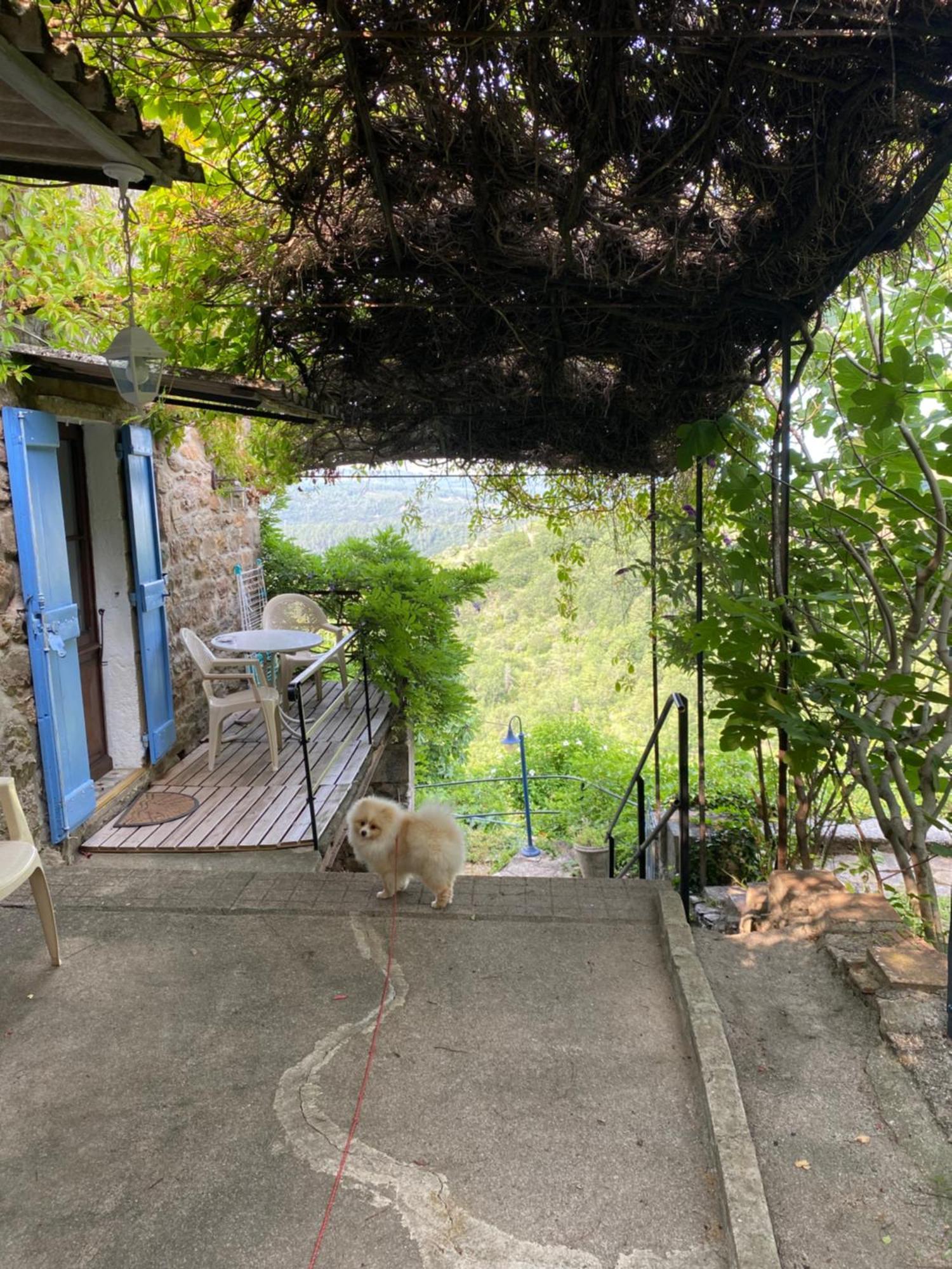 Lou-Pelou Villa Gravieres Bagian luar foto